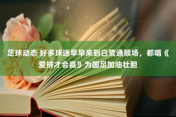 足球动态 好多球迷早早来到白鹭通顺场，都唱《爱拼才会赢》为国足加油壮胆