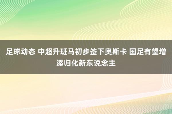 足球动态 中超升班马初步签下奥斯卡 国足有望增添归化新东说念主