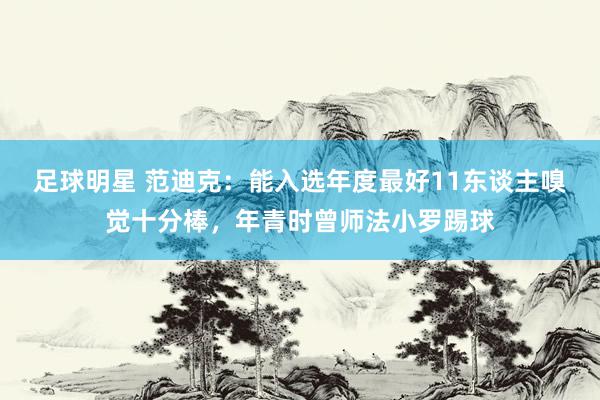 足球明星 范迪克：能入选年度最好11东谈主嗅觉十分棒，年青时曾师法小罗踢球