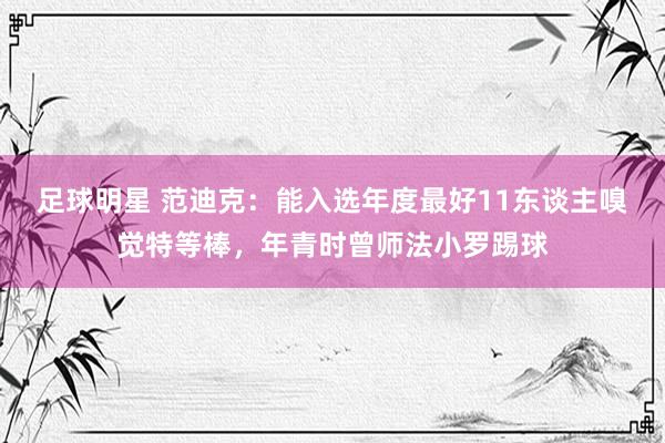 足球明星 范迪克：能入选年度最好11东谈主嗅觉特等棒，年青时曾师法小罗踢球