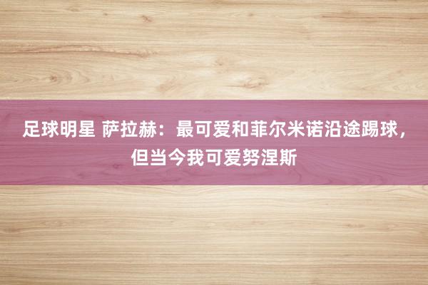 足球明星 萨拉赫：最可爱和菲尔米诺沿途踢球，但当今我可爱努涅斯