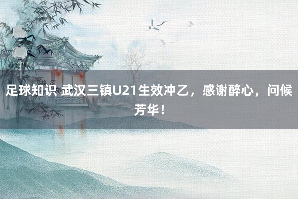 足球知识 武汉三镇U21生效冲乙，感谢醉心，问候芳华！