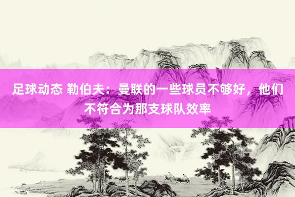 足球动态 勒伯夫：曼联的一些球员不够好，他们不符合为那支球队效率